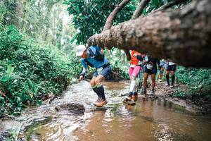 BIB: 
                            <button type="button" onclick="openModal(25374639)" class="btn btn-primary btn-sm float-right btn-popup" data-toggle="modal" data-target=".modal-high-quality">
                        <i class="fas fa-shopping-cart"></i> Add to Cart
                    </button>
                                            <button type="button" onclick="isThisMe(25374639, true)" class="btn btn-success btn-sm float-right btn-popup btn-isme hidden" data-toggle="tooltip" data-placement="bottom" title="นี่คือรูปของคุณใช่ไหม คลิกที่นี่เพื่อเอาเข้าอัลบั้ม">
                        <i class="fas fa-plus"></i> Add to album
                    </button>
                    <button type="button" onclick="isThisMe(25374639, false)" class="btn btn-warning btn-sm float-right btn-popup btn-isnotme hidden">
                        <i class="fas fa-ban"></i> Remove from album
                    </button>